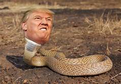 Donald_Trump_-_as_a_Snake.jpg